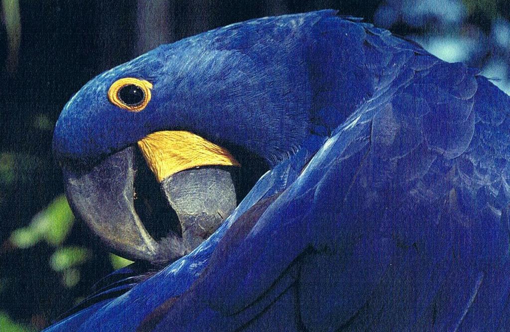 Cataguas Brasil Pousada Carrancas Dış mekan fotoğraf