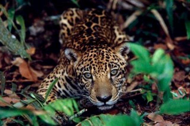 Cataguas Brasil Pousada Carrancas Dış mekan fotoğraf